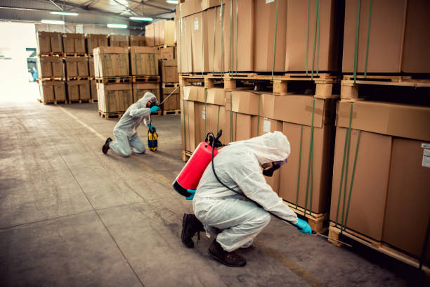 Trusted St Louis Park, MN Pest Control Experts