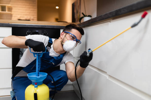  St Louis Park, MN Pest Control Pros