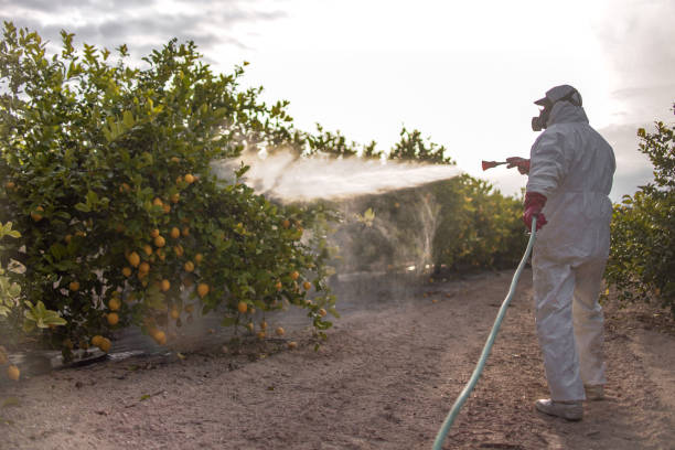 Best Pest Control Near Me  in St Louis Park, MN