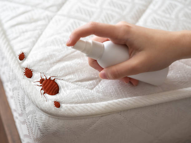 Best Pest Prevention Services  in St Louis Park, MN
