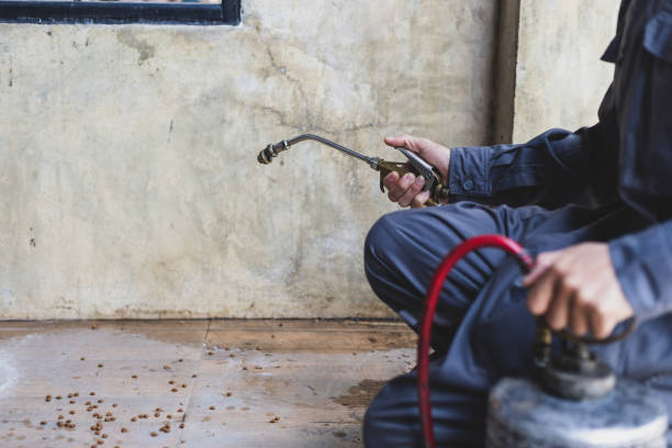 Wasp Removal Services in St Louis Park, MN